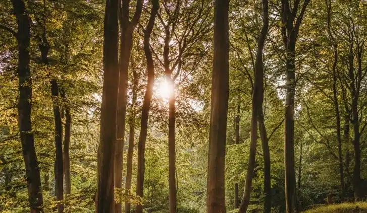 retour de l'été